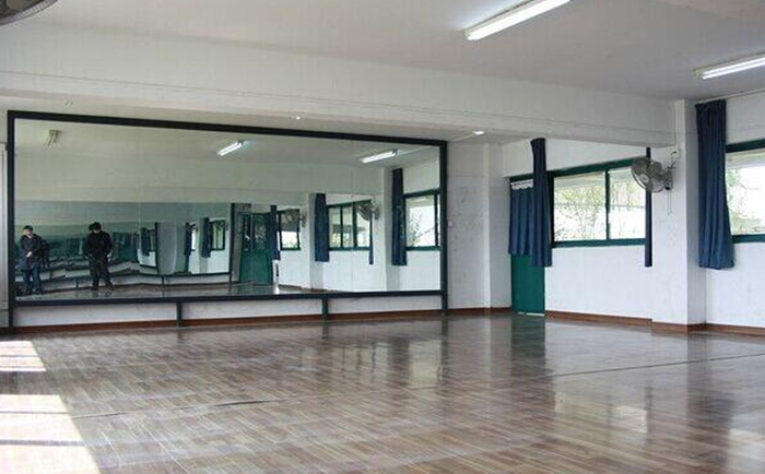 鋼化鏡子玻璃 鋼化鏡子玻璃